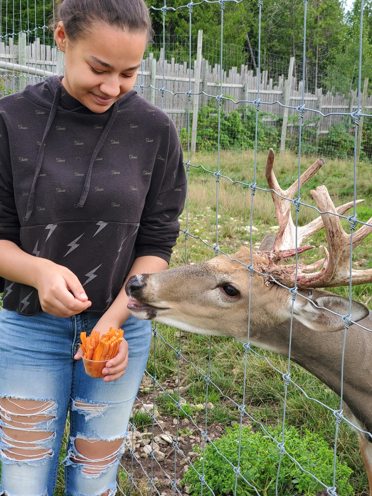 Deer Ranch