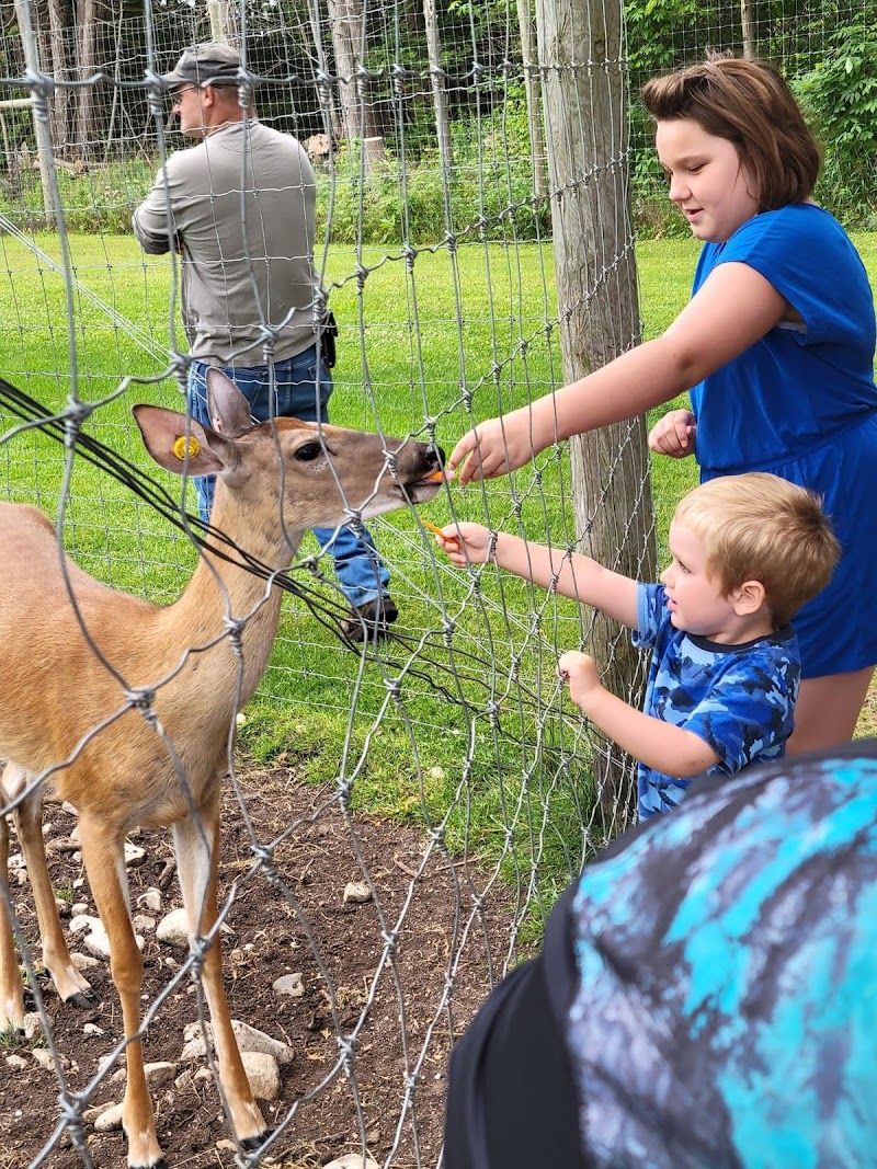 Deer Ranch - Photo 5