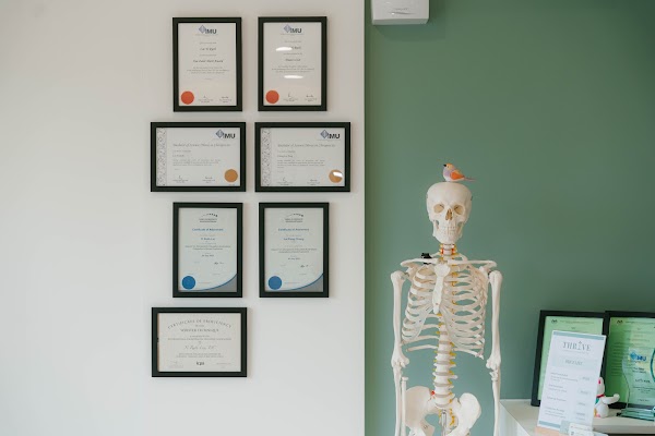 Thrive Chiropractic photo 8