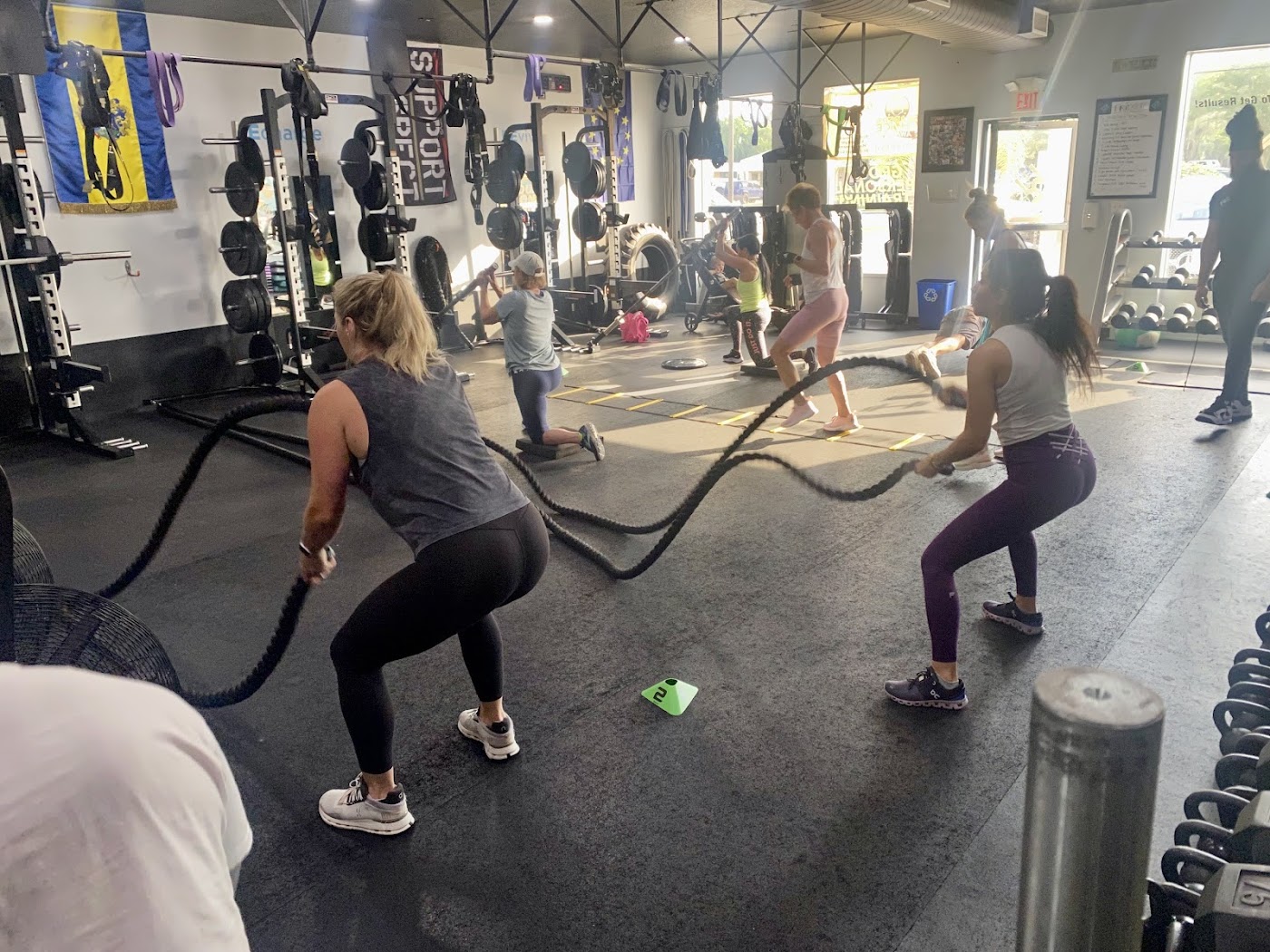 Revive Fitness & Lifestyle Management workspace