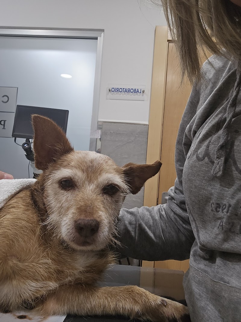 Clínica Veterinaria Principado