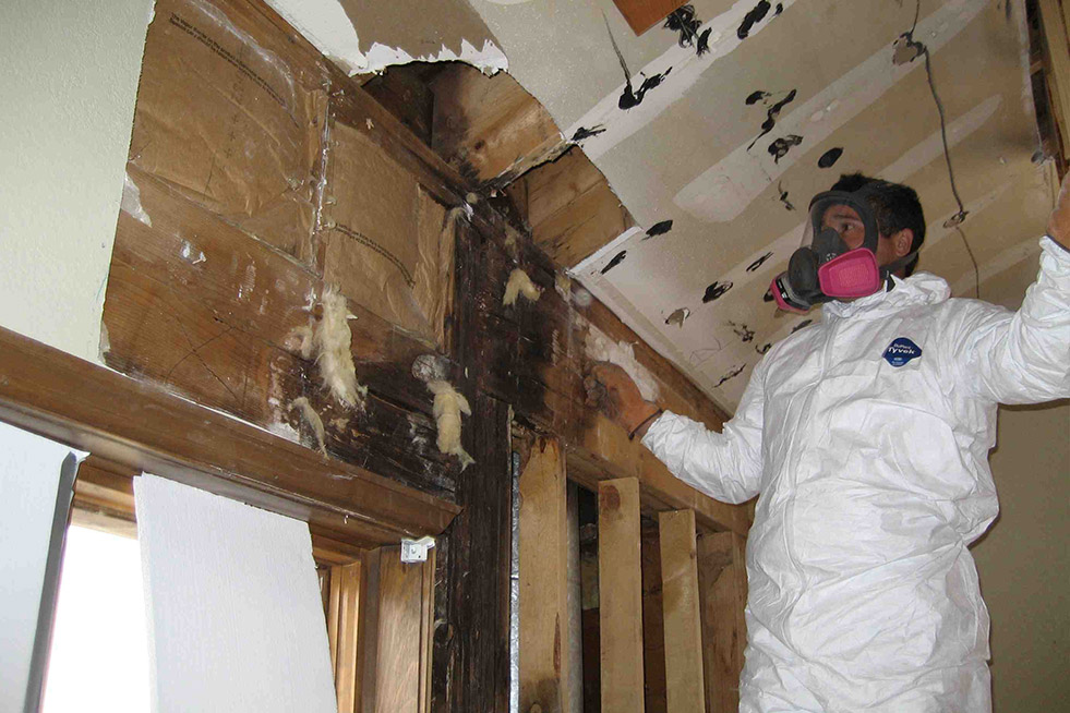 Locke Water Damage Restoration Pros — photo