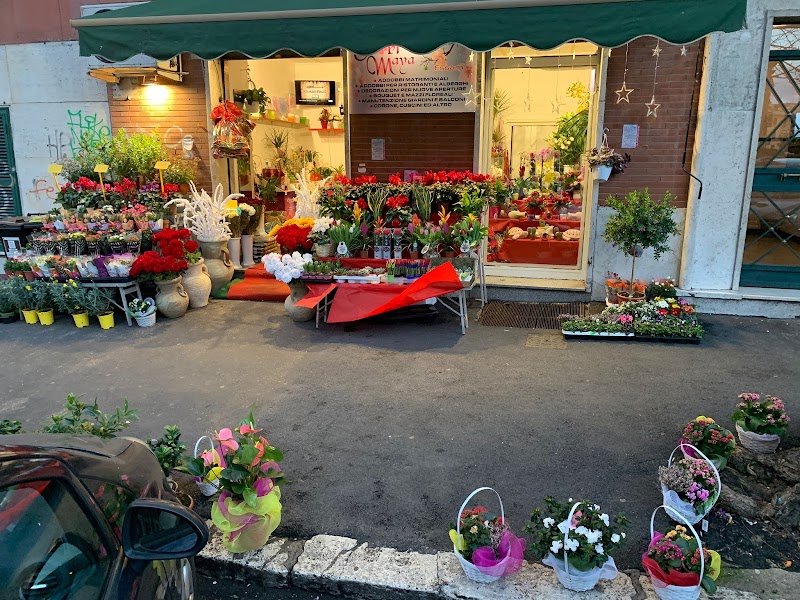 FIORI MAYA-Piante e Fiori Roma