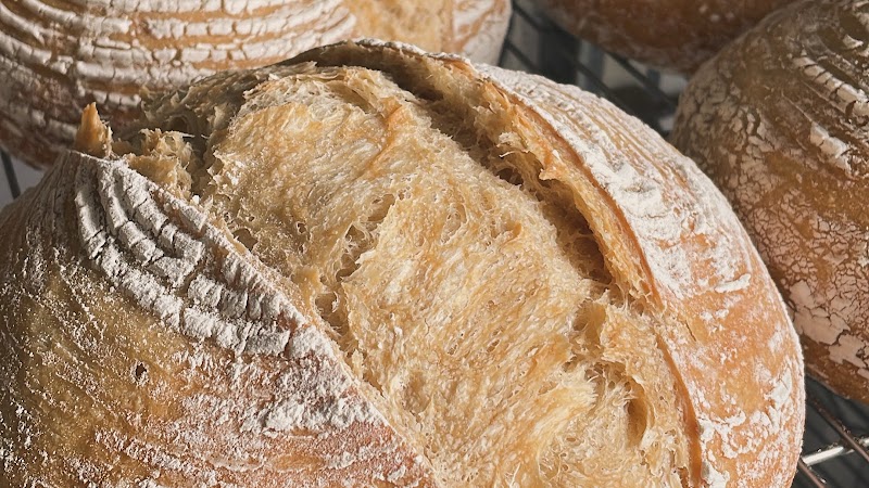 HOME bakehouse & cafe photo 2