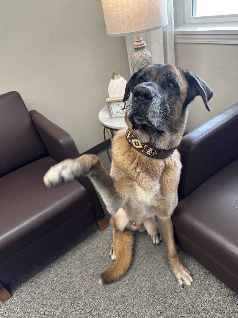 Douglas Family & Animal Chiropractic