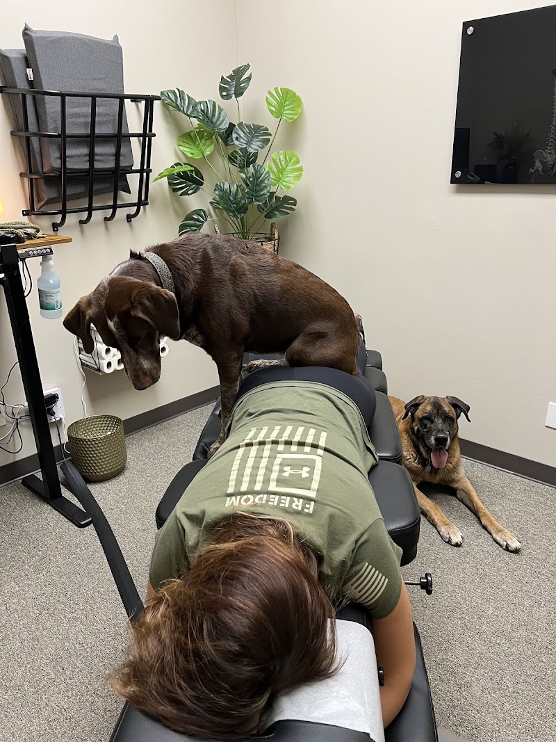 Douglas Family & Animal Chiropractic