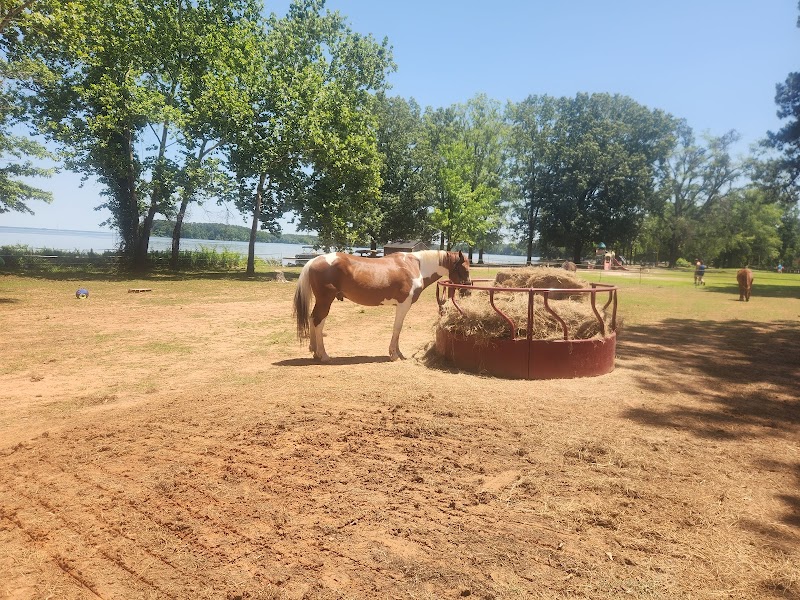 Paradise Ranch Wheeler Lake LLC - Photo 3