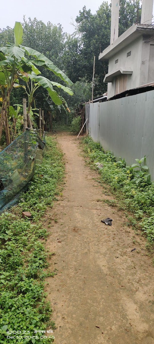 Pranab Saha Google photo 2