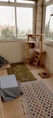 Boutique Cat Hotel Jerusalem