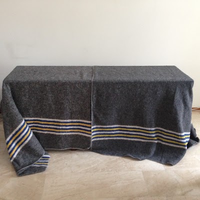 Foto van Verhuiskundig