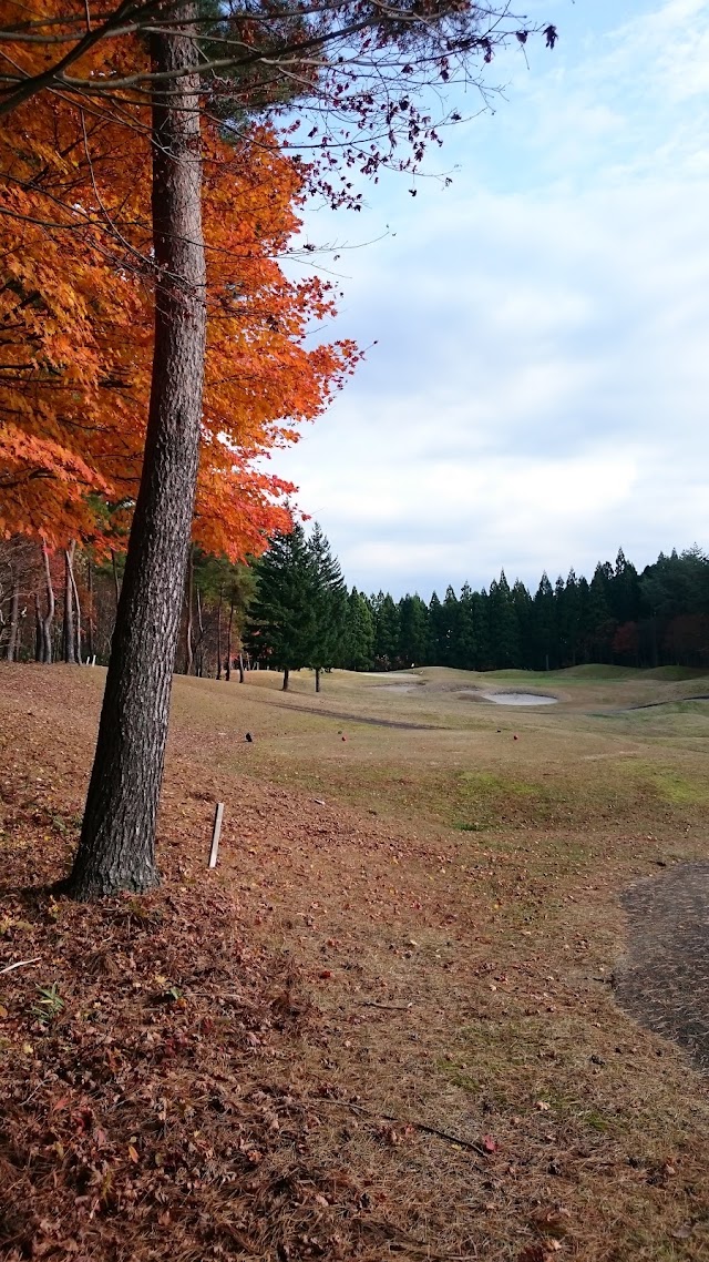 Royal Century Golf Club - Photo 6
