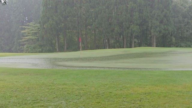 Royal Century Golf Club - Photo 9