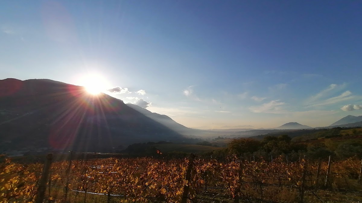 Cantina Pietreionne - Degustazione Vini e Metodo Classico