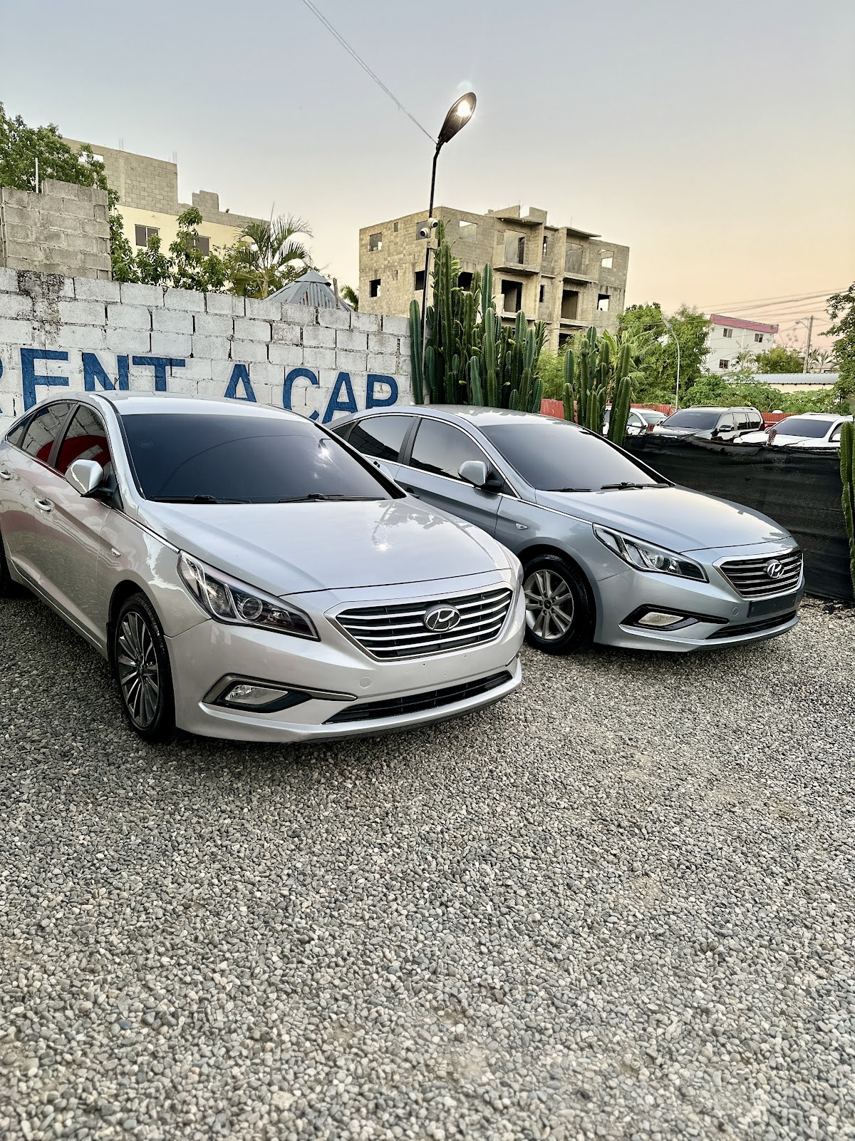 WH Rent car SRL - Imagen 1