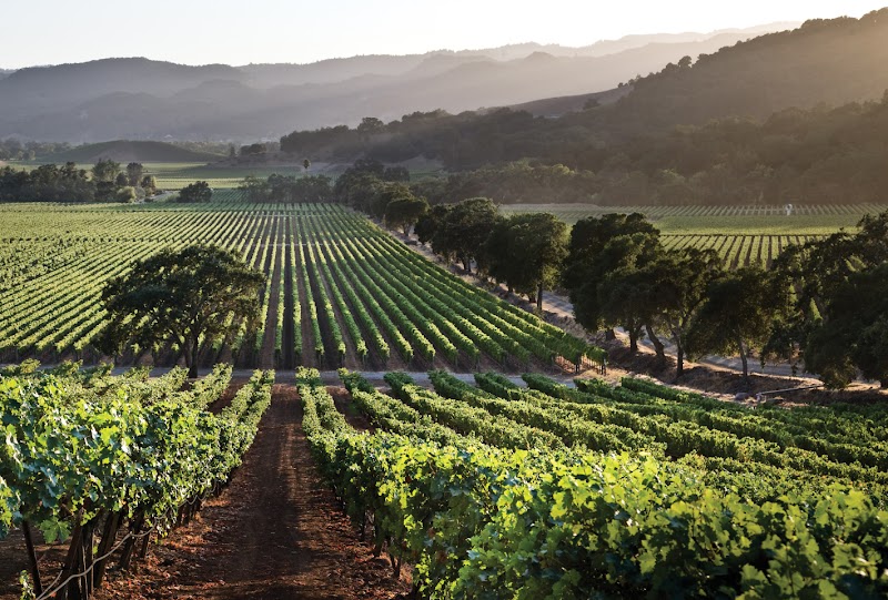 Valentina Vineyards and Farm