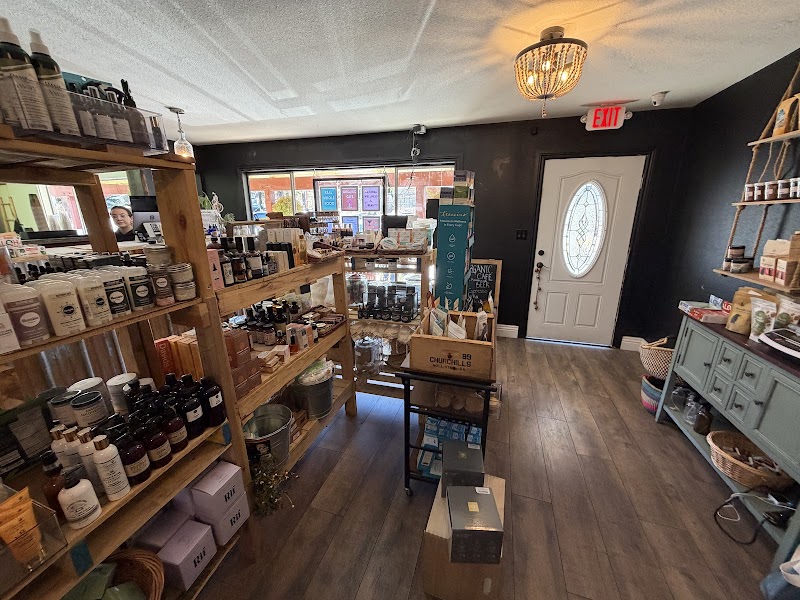 Rewind Collective photo 4