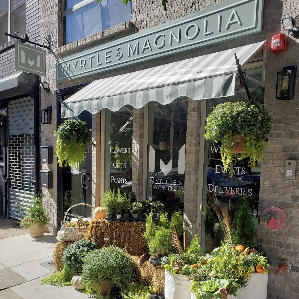 Myrtle & Magnolia: Google Places image 4