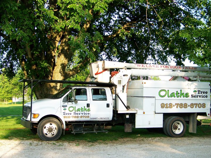 Olathe Tree Services