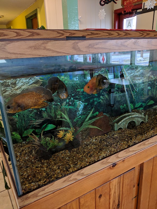 Photo by Casper Galaxy