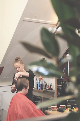 Reds for Hair photo 3