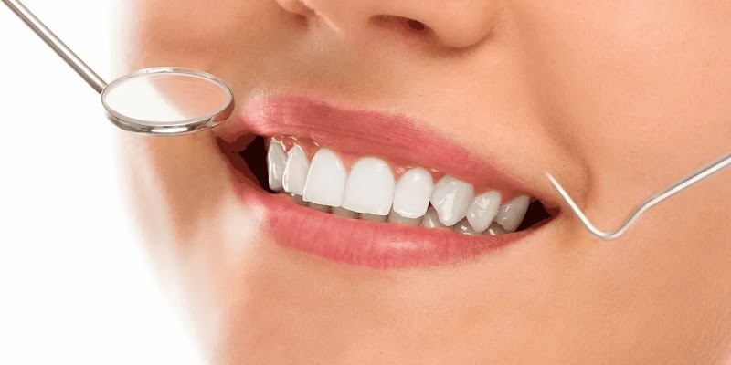 Dra. Luciana Giesta - Endodontia - Microscopia - Barra da Tijuca - foto 4