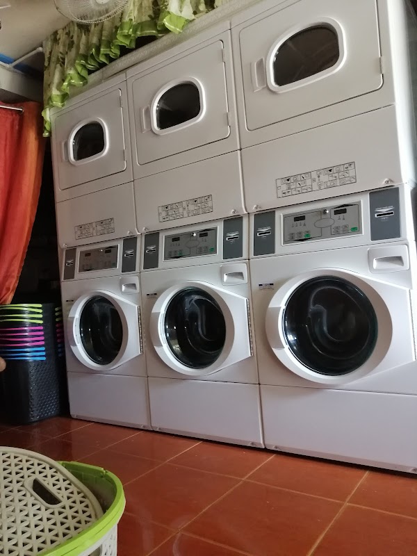 Blueming Wash