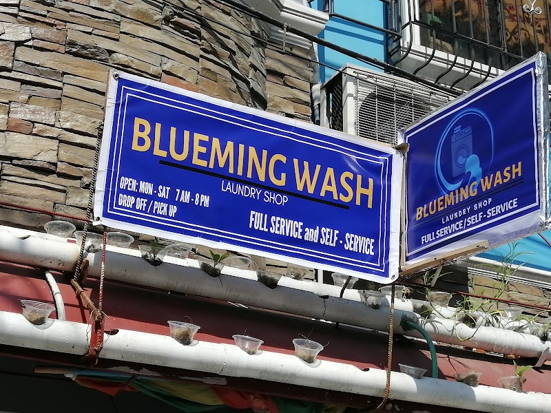 Blueming Wash