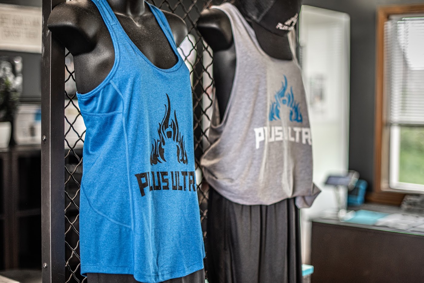 Plus Ultra Fitness detail 2