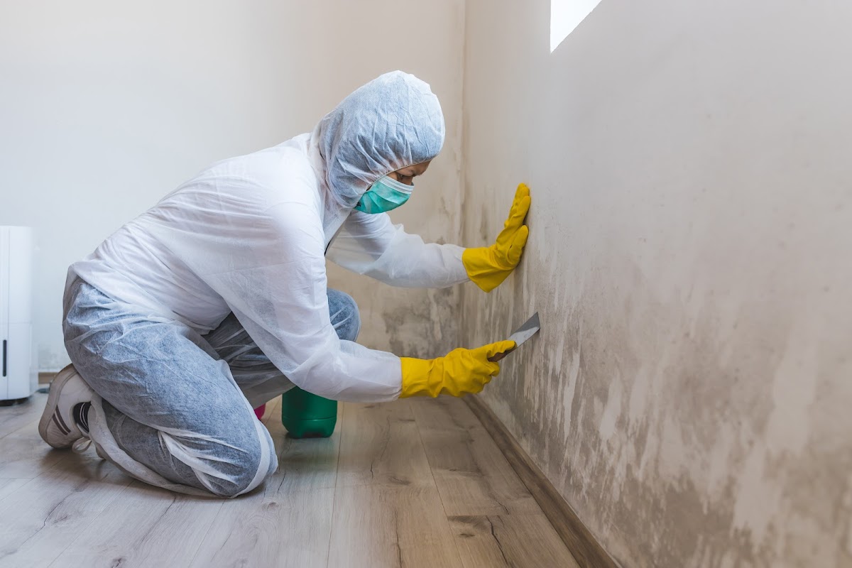 Mold Masters — photo