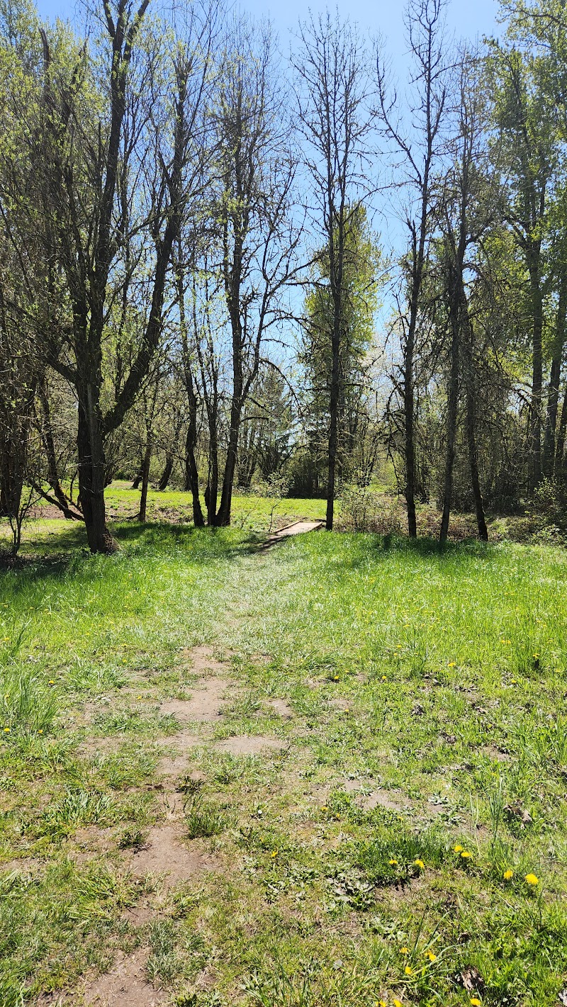 Clearwater Park Disc Golf Course photo 1