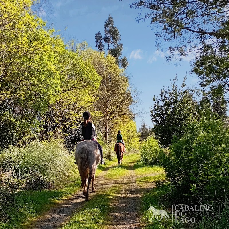Cabaliño do Lago - Horseback riding routes photo 4