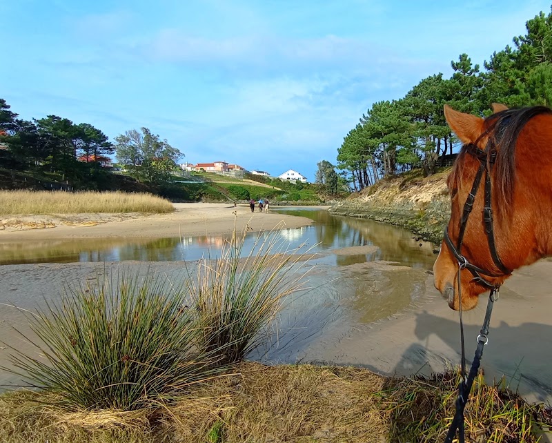 Cabaliño do Lago - Horseback riding routes photo 5