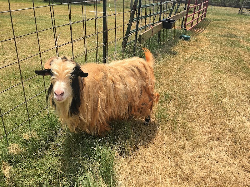 Lucky Acres Farm - Photo 6