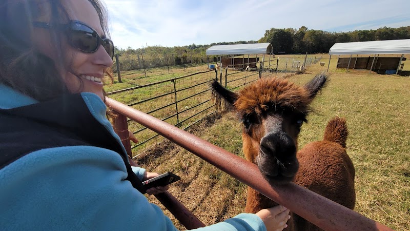 Lucky Acres Farm - Photo 3