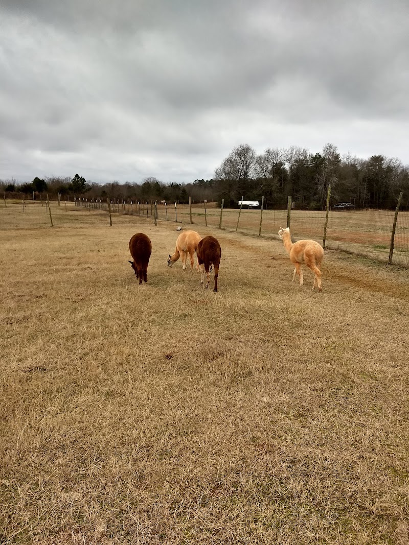 Lucky Acres Farm - Photo 1