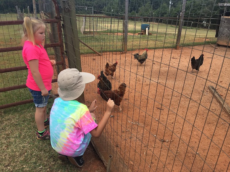 Lucky Acres Farm - Photo 4