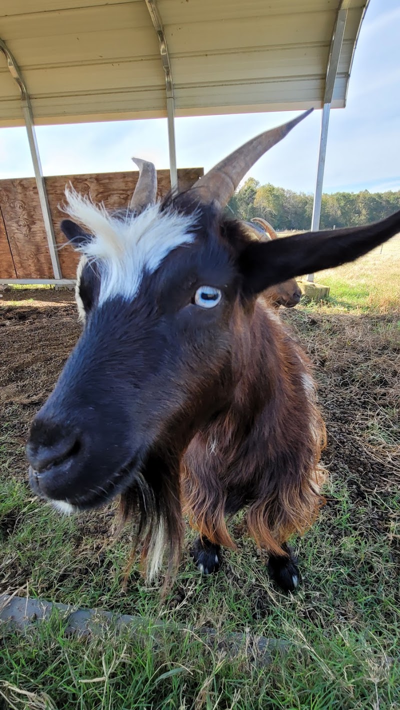 Lucky Acres Farm - Photo 2