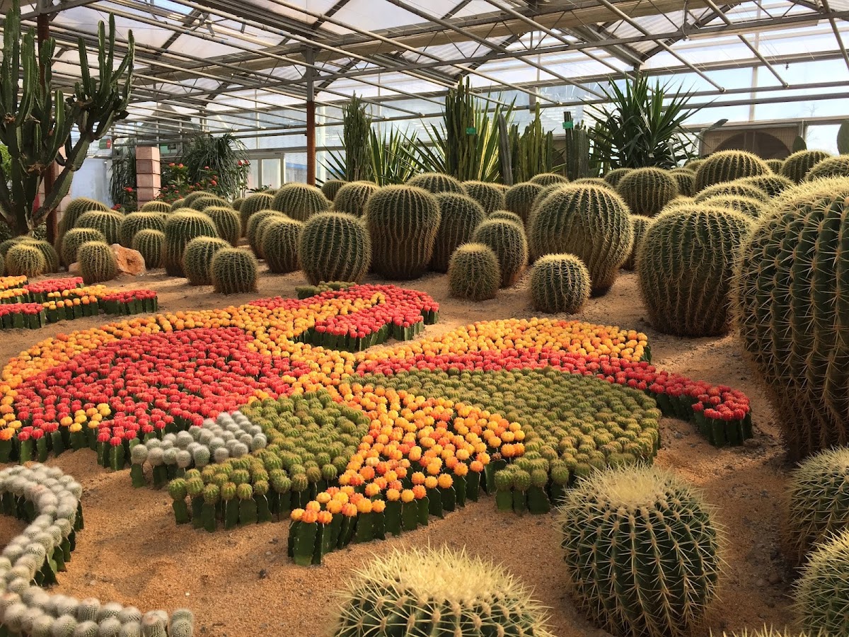 World Flower Garden