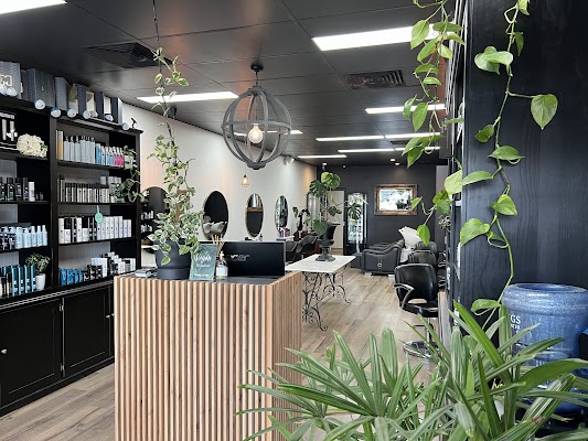 Atelier Hair photo 3