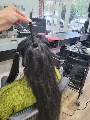 greenelement photo 3