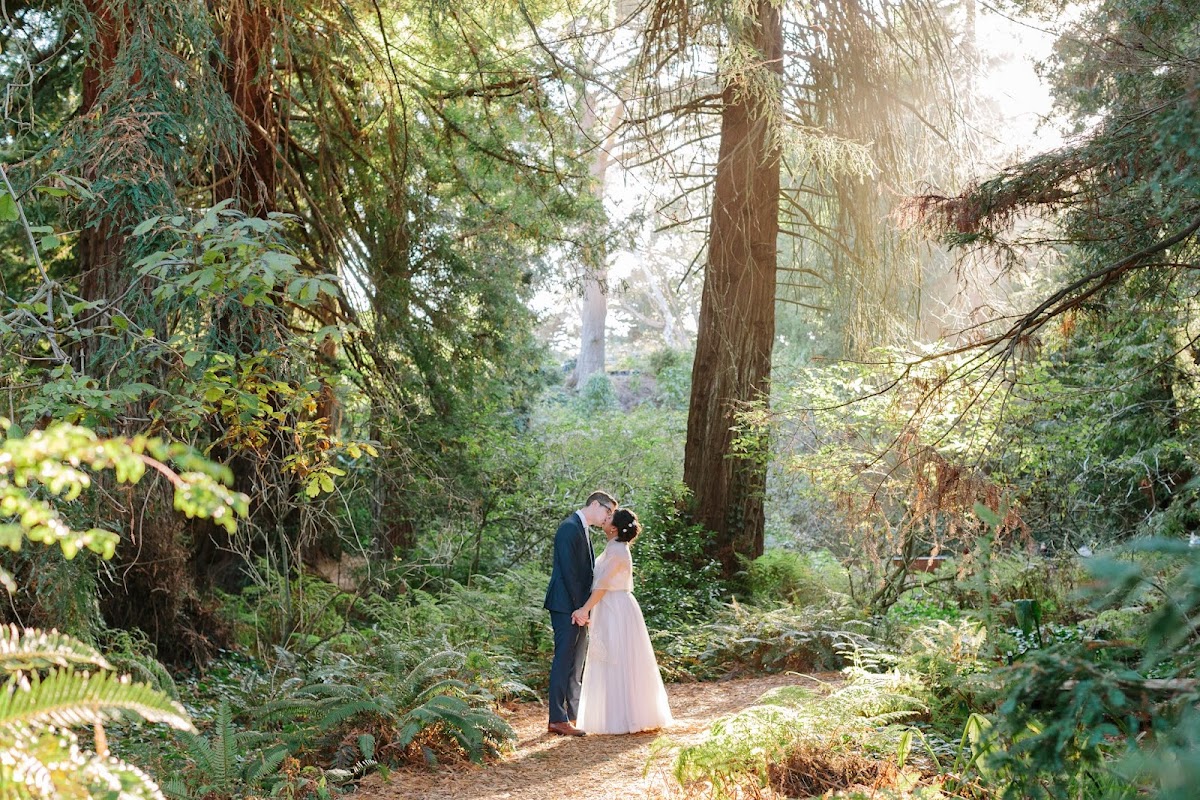 Anna Wu Photography: Google Places image 4