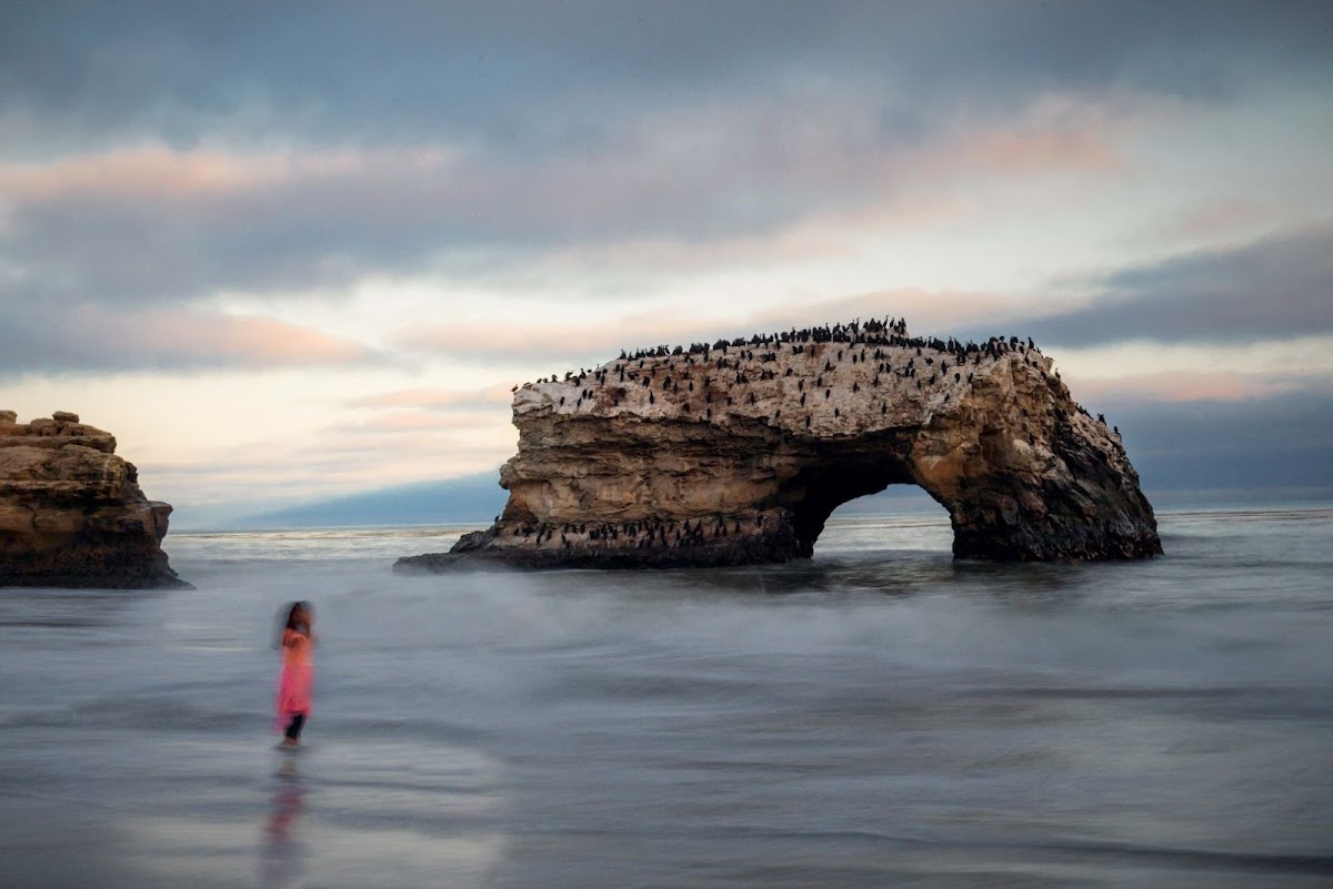 Kevin Neilson Photography: Google Places image 3