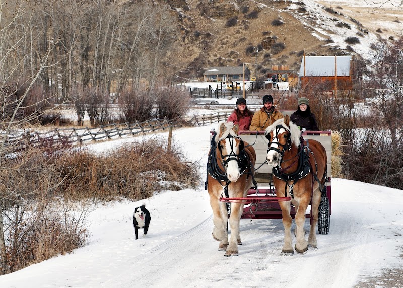 Rocking Z Guest Ranch - Photo 6