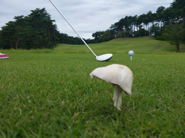 Mori no Miyako Golf Club - Photo 8