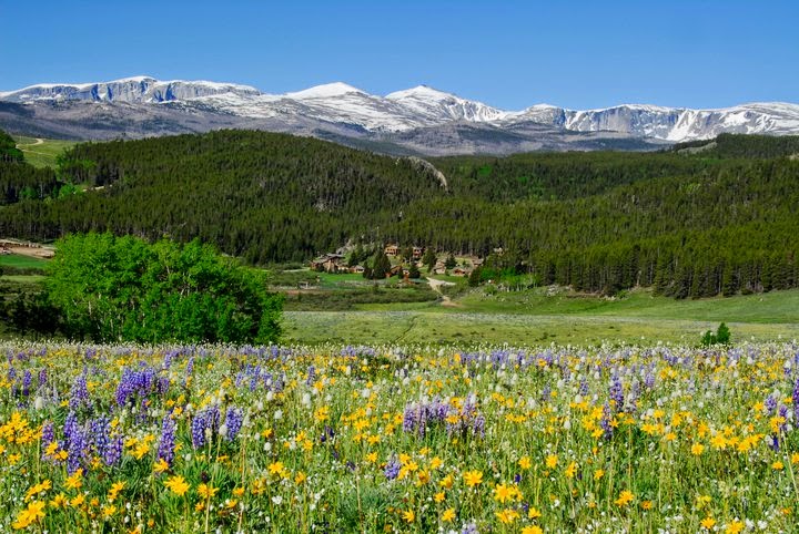 Paradise Guest Ranch - Photo 1