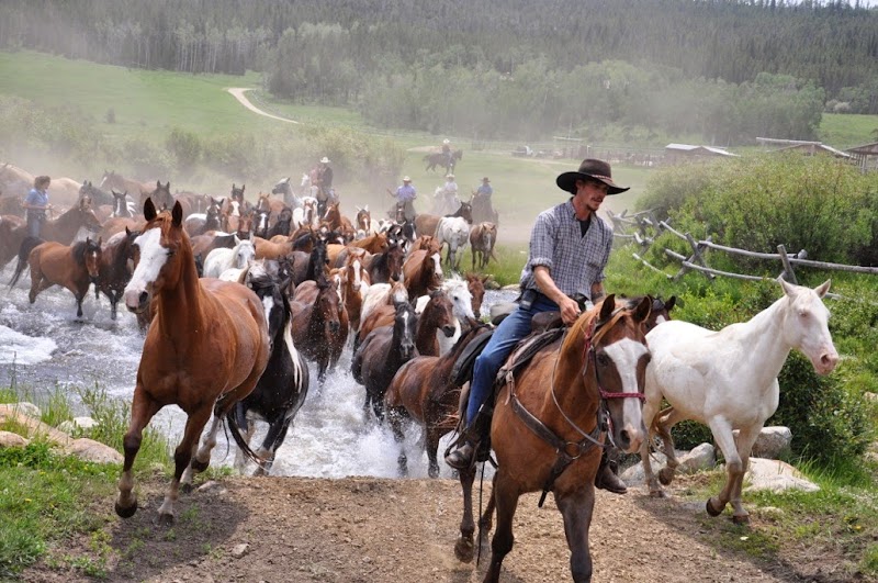 Paradise Guest Ranch - Photo 3