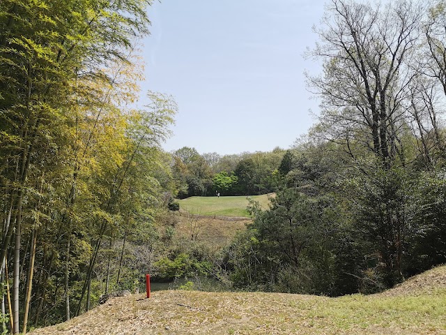 Dunlop Perthlee Course (Short Course Par 54) - Photo 6