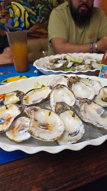 Cócteles el Primo #2 photo 5