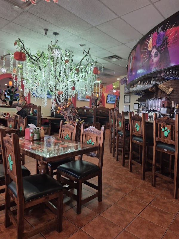 Photo by Vojkan Miltenovic