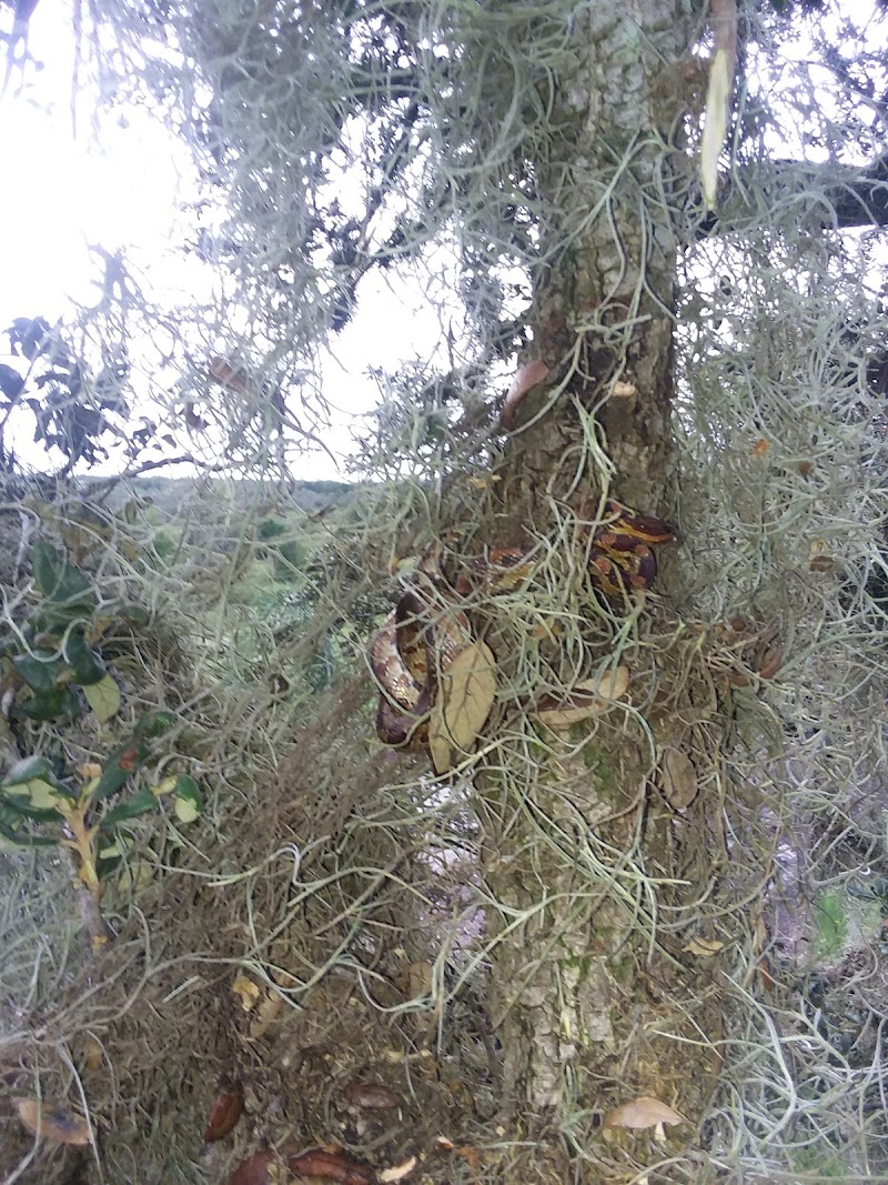 Creek Ranch - Photo 1